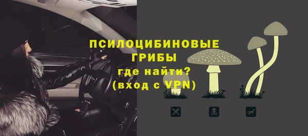 молекула духа Вязники