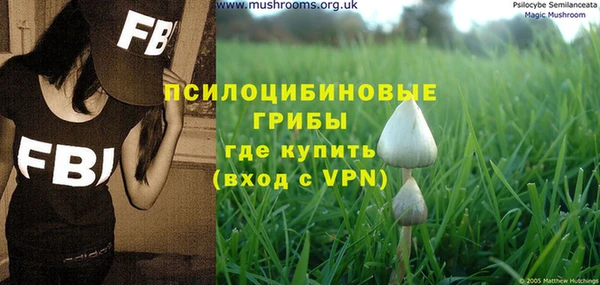 молекула духа Вязники