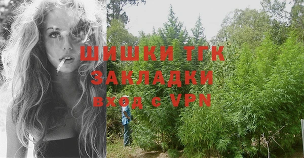 молекула духа Вязники